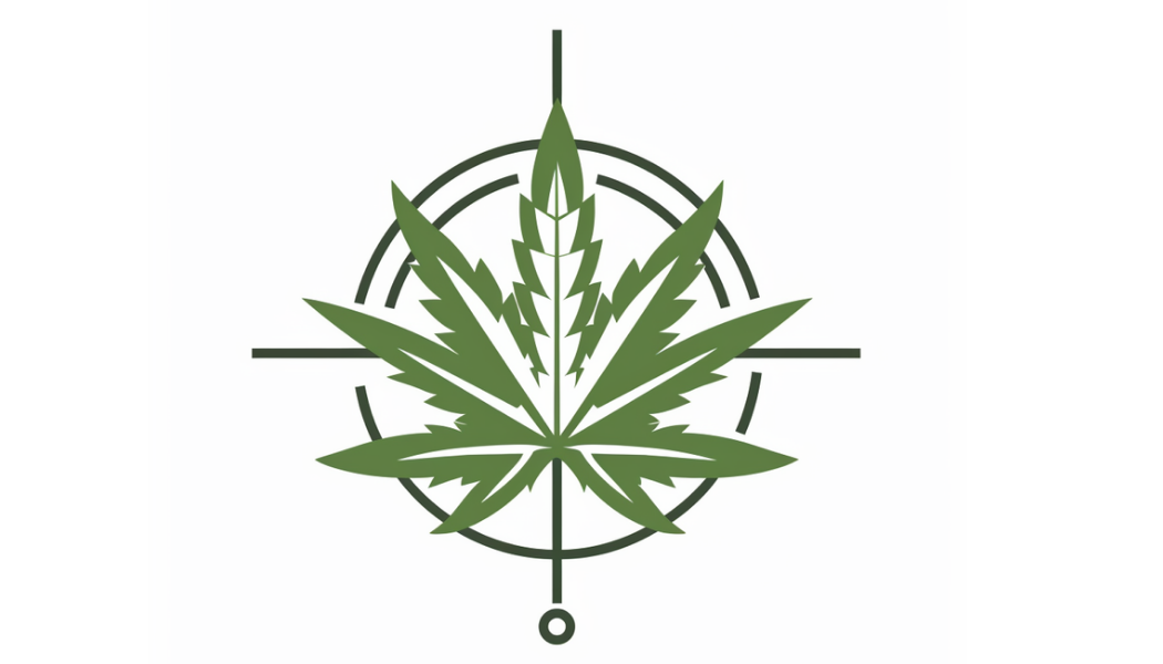 Designated areas within a city or municipality where cannabis-related businesses, such as dispensaries, cultivation facilities, and processing plants, are allowed to operate.